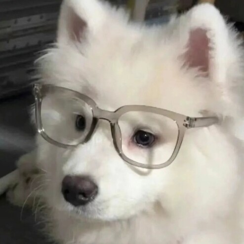 副会长潘震原照片